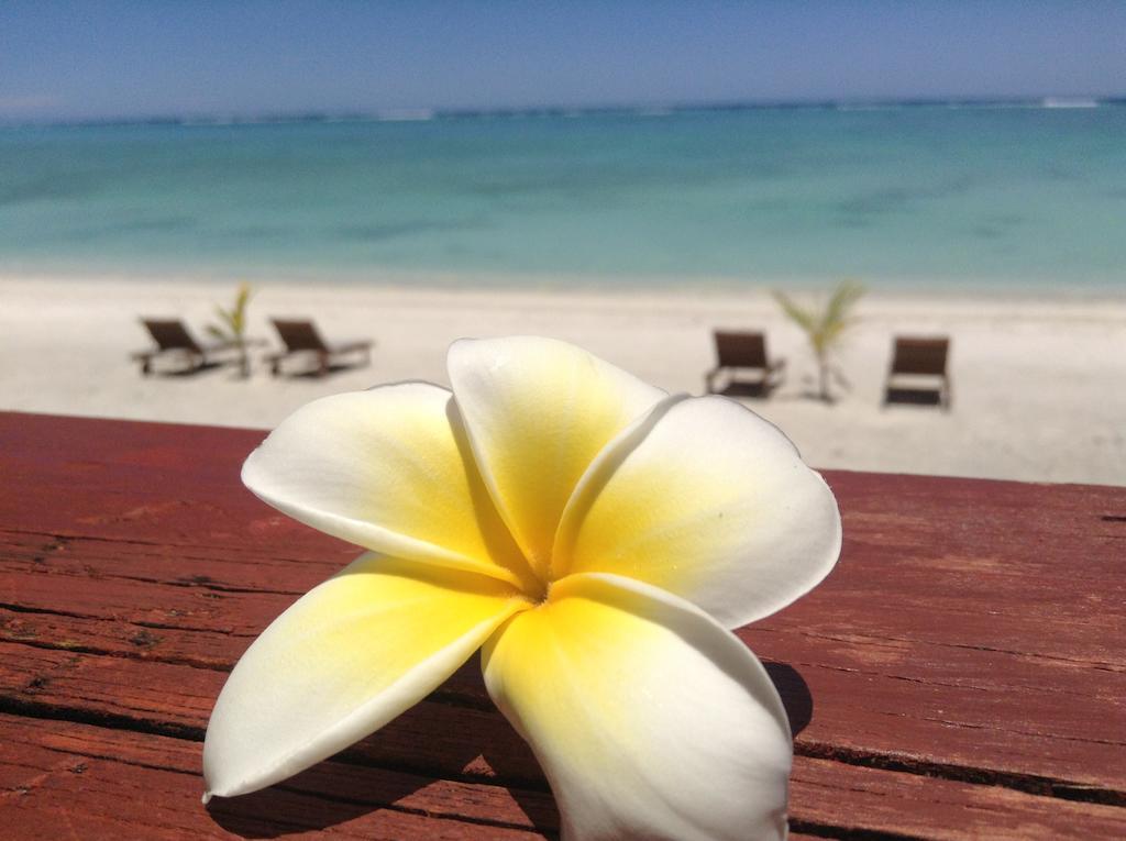 Aitutaki Seaside Villa Arutanga Kültér fotó